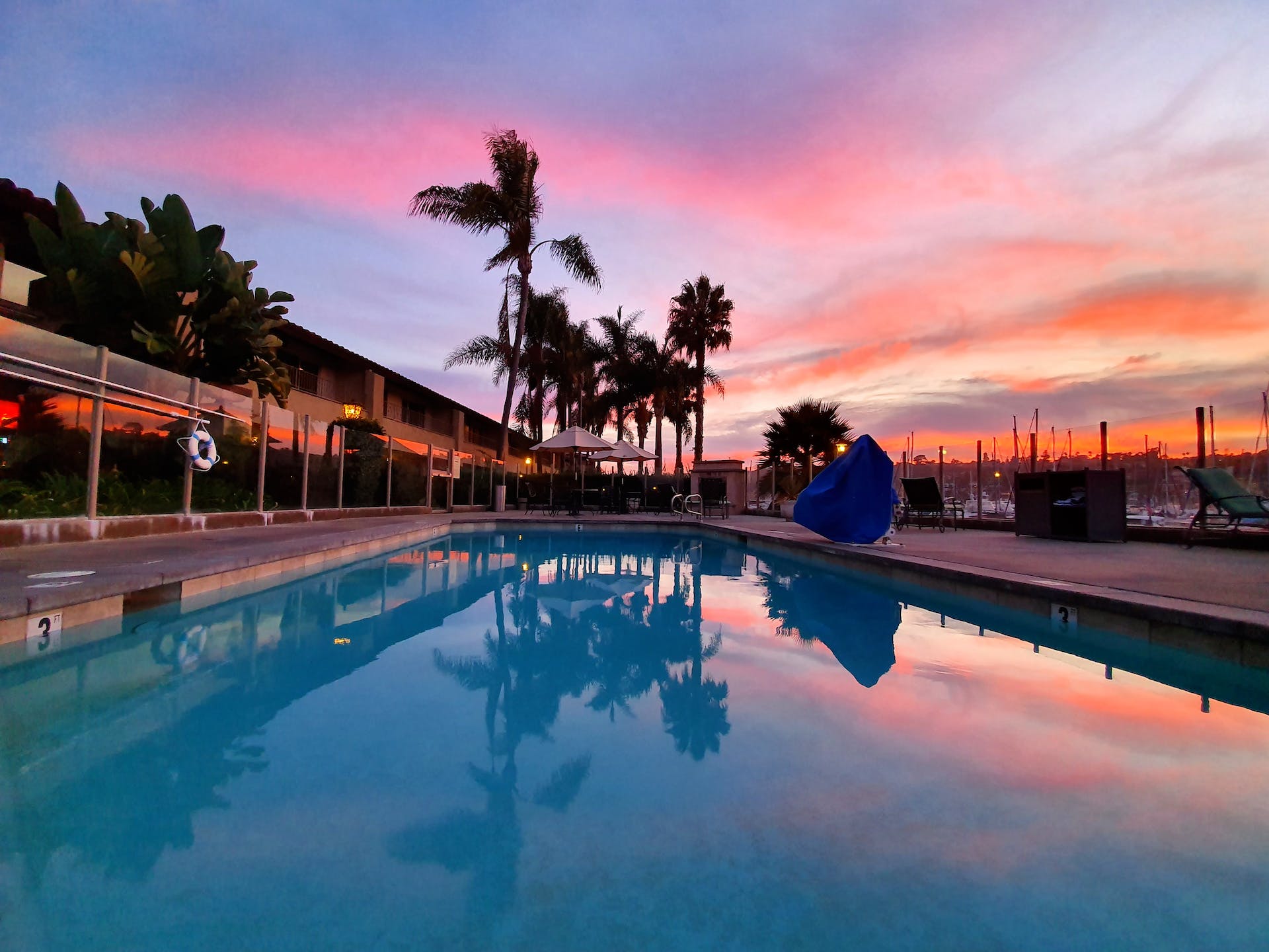 Pool and Landscape